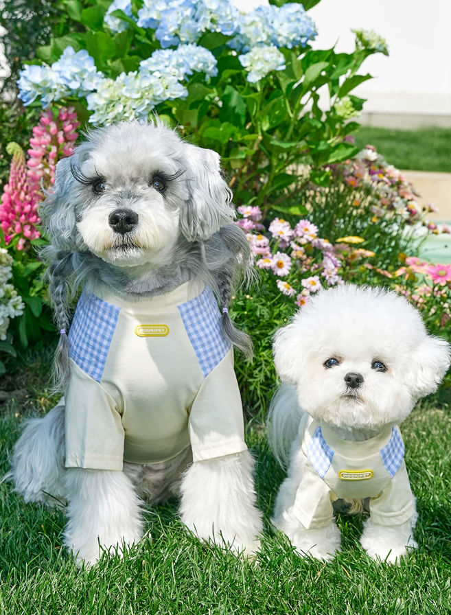 Spring Summer Lightweight Cooling Pet T-Shirt