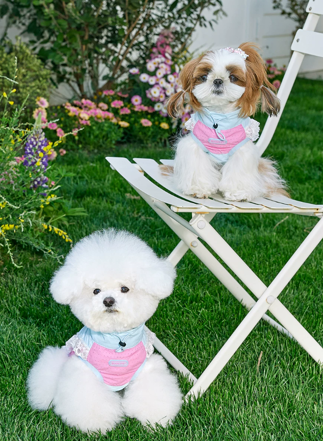 UV Protection Leash-Ready Pet Vest