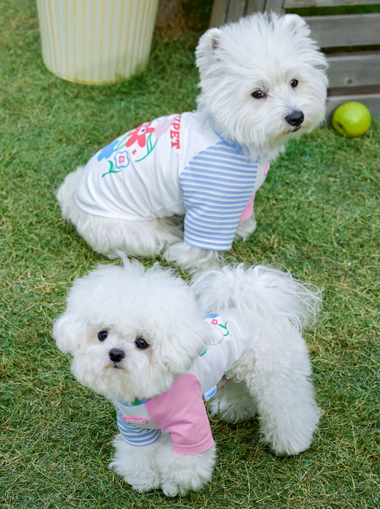 Spring Summer Fashion Pet T-Shirt for Cats & Dogs