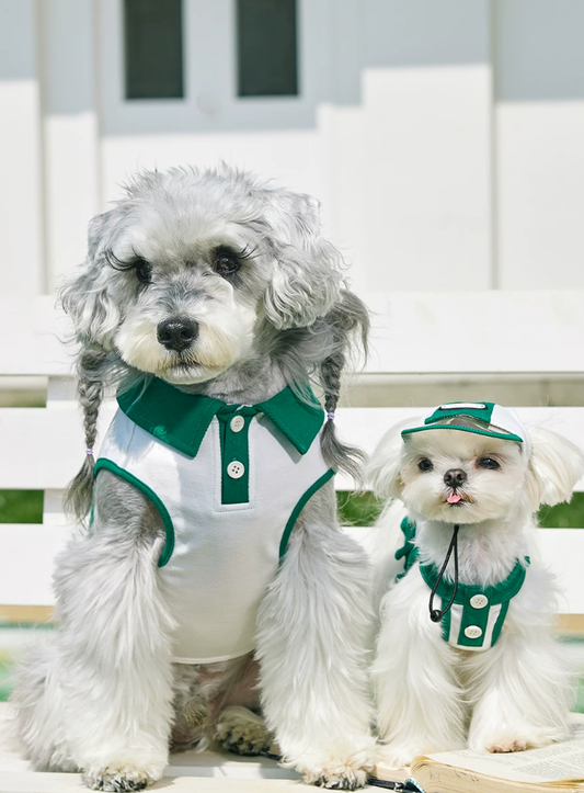 Summer Skirt Vest Outfit for Bichon Schnauzer Teddy Dogs