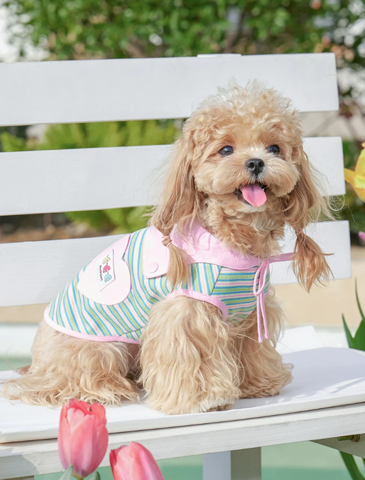 Striped Shawl Style Summer Pet Vest