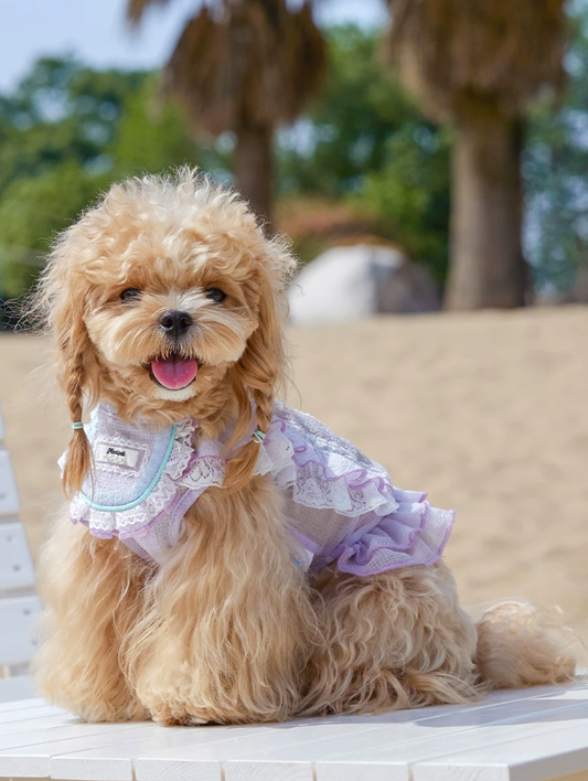 Lace Doll Style Summer Pet Blouse