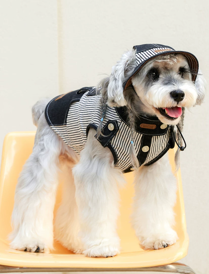 Cool Summer Denim Vest for Small Dogs