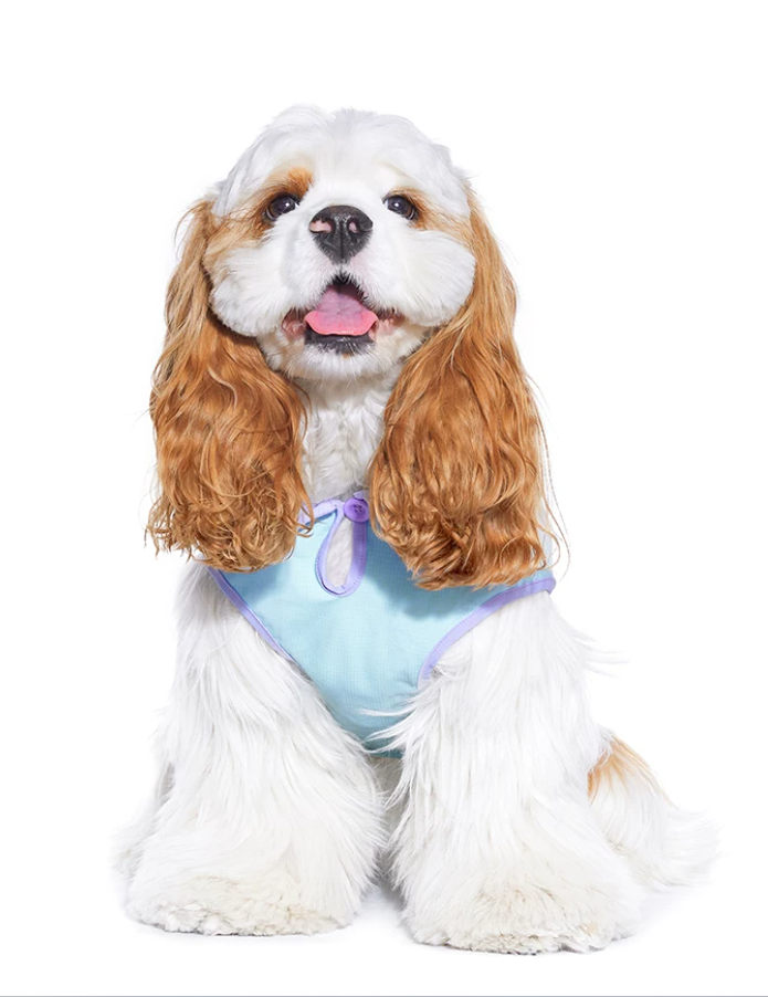 Cooling Light Vest for Cats & Dogs Outdoor Wear