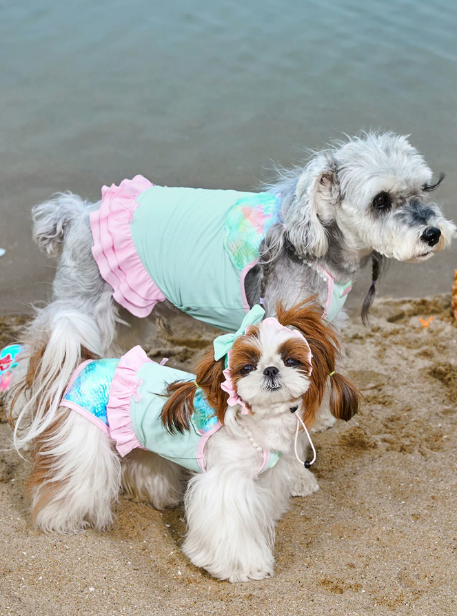 Aqua Chill Pool Swim Vest for Dogs