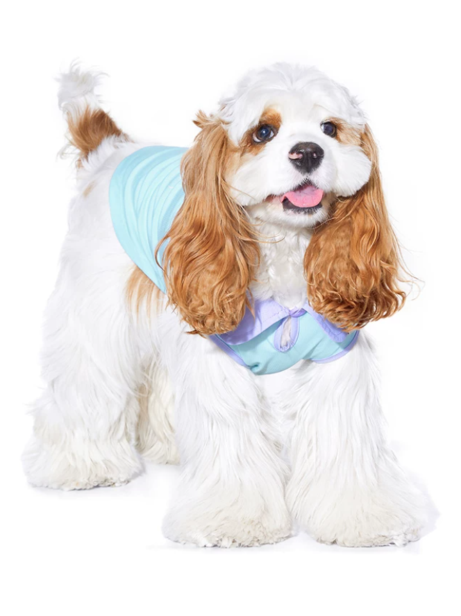 Cooling Light Vest for Cats & Dogs Outdoor Wear