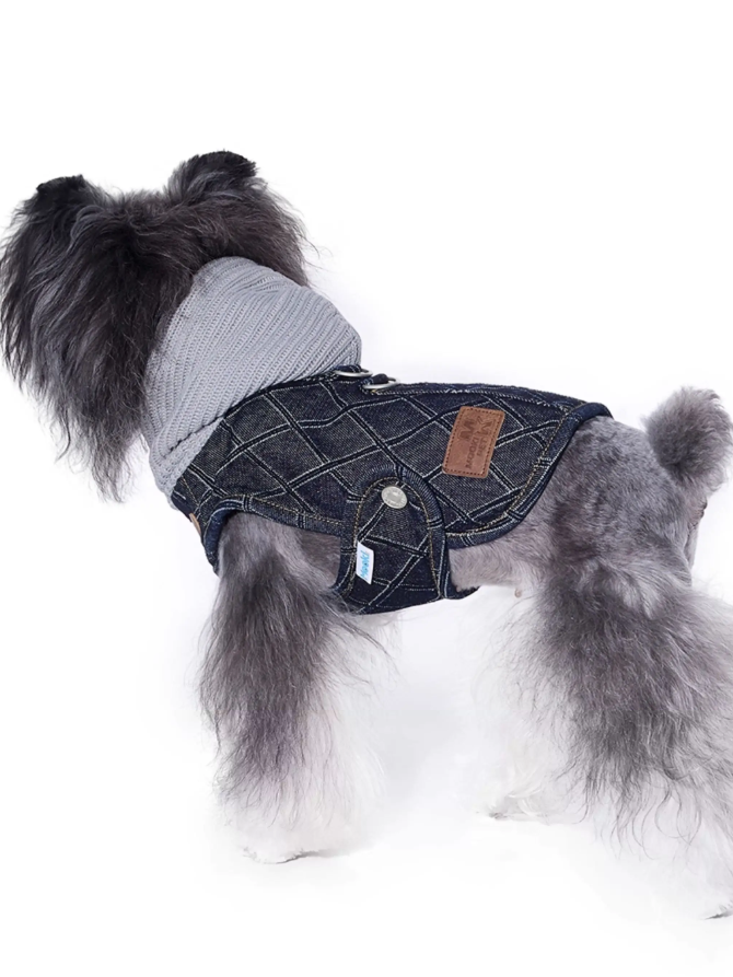 Stylish Denim Vest for Schnauzer Bichon Dogs
