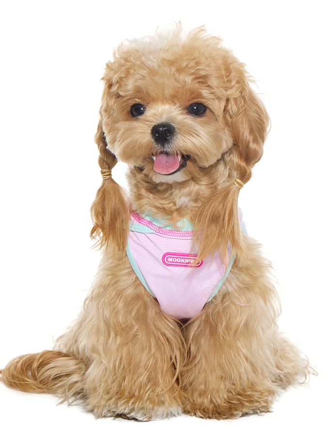 Soft Cooling Vest for Bichon Frise Dogs
