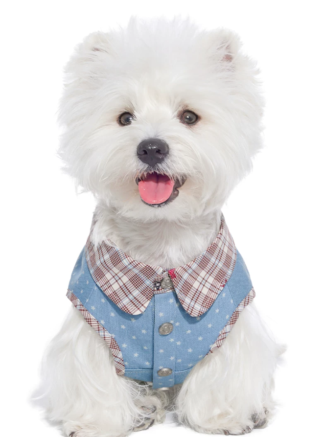 Denim Style Leash Vest for Small Dogs