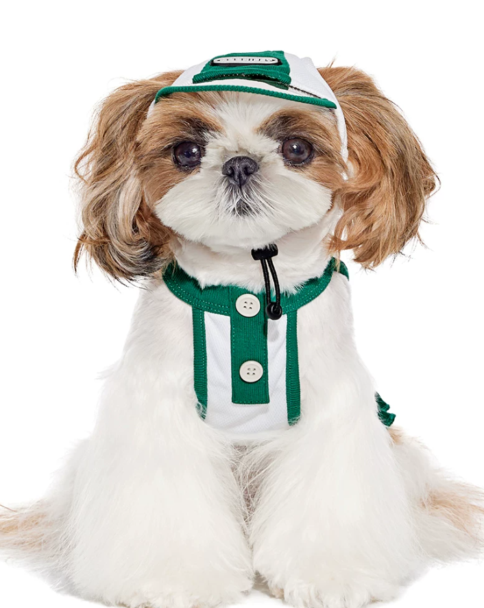 Summer Skirt Vest Outfit for Bichon Schnauzer Teddy Dogs