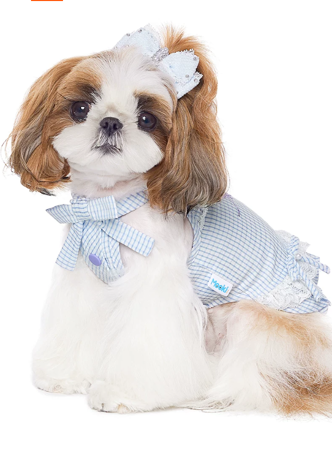 Summer Skirt Pet Dress for Yorkie Bichon Maltese Dogs