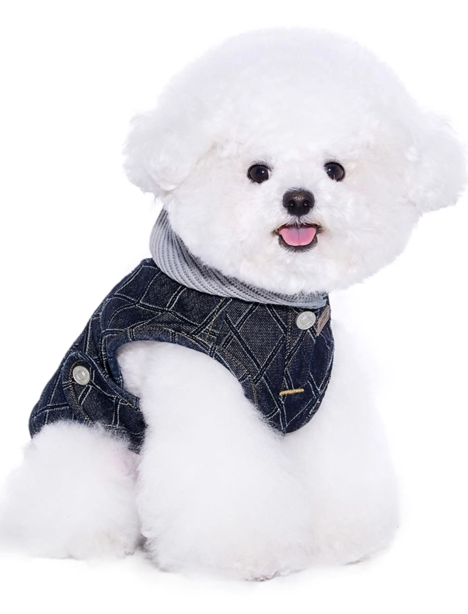 Stylish Denim Vest for Schnauzer Bichon Dogs