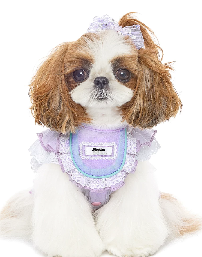 Lace Doll Style Summer Pet Blouse
