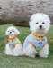 Leash Buckle Sun Protection Vest for Dogs