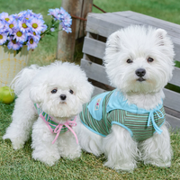 Striped Shawl Style Summer Pet Vest