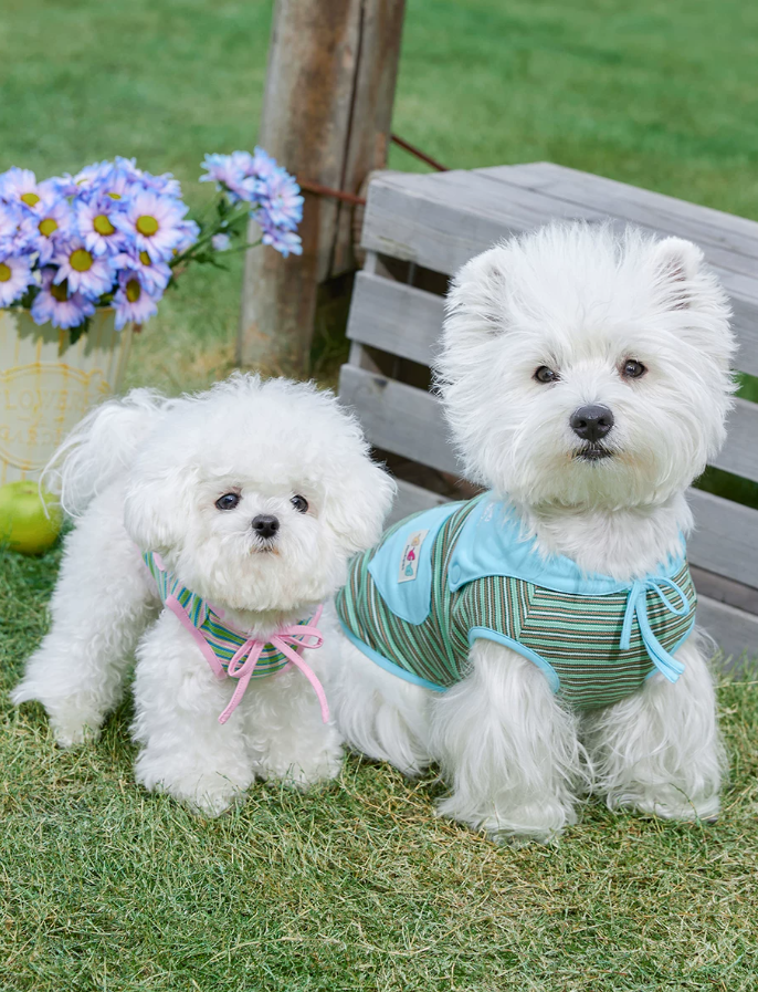 Striped Shawl Style Summer Pet Vest