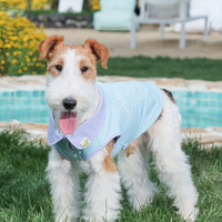 Cooling Light Vest for Cats & Dogs Outdoor Wear