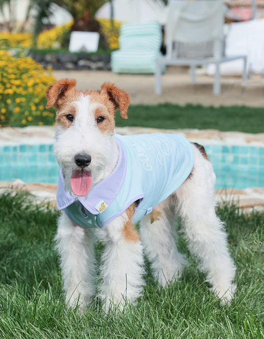 Cooling Light Vest for Cats & Dogs Outdoor Wear
