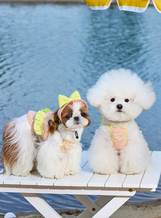 Beach Holiday Strap Cami Pet Outfit