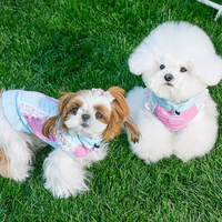 UV Protection Leash-Ready Pet Vest