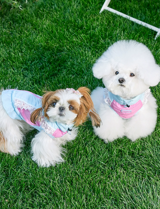 UV Protection Leash-Ready Pet Vest