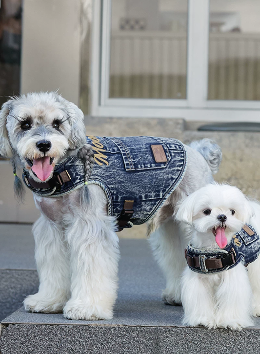 Harness Denim Summer Pet Shirt Vest