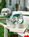Summer Skirt Vest Outfit for Bichon Schnauzer Teddy Dogs