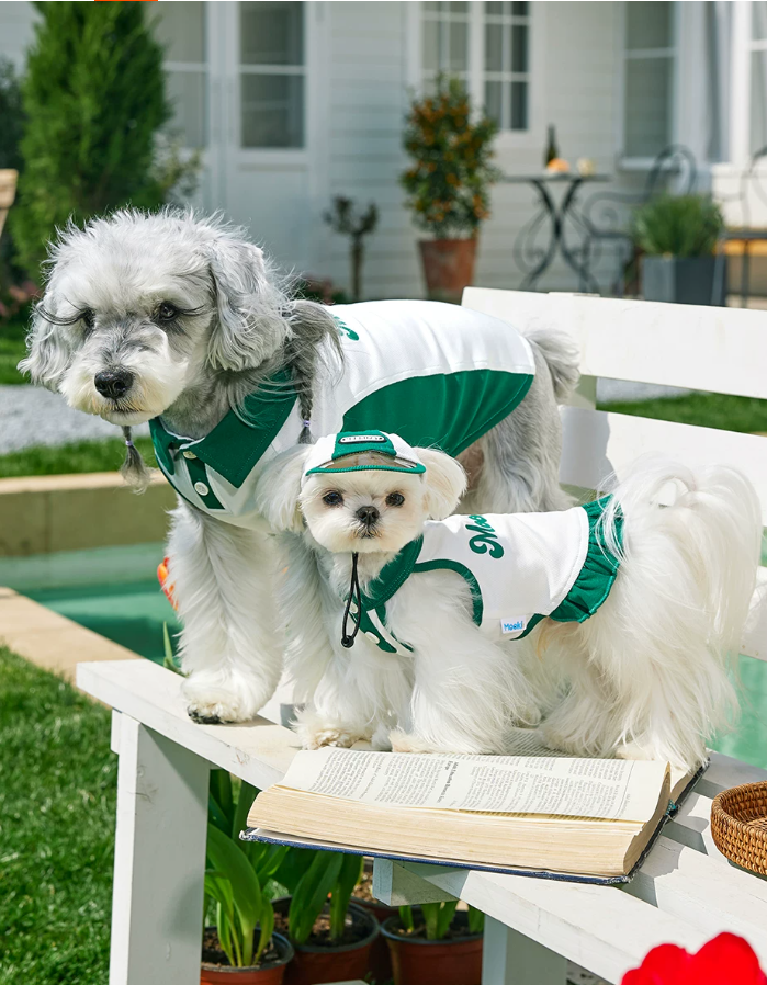 Summer Skirt Vest Outfit for Bichon Schnauzer Teddy Dogs