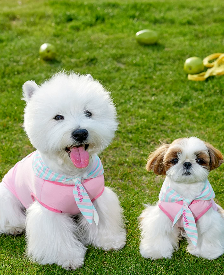 2026 Cape Style Summer Pet Vest for Small Dogs