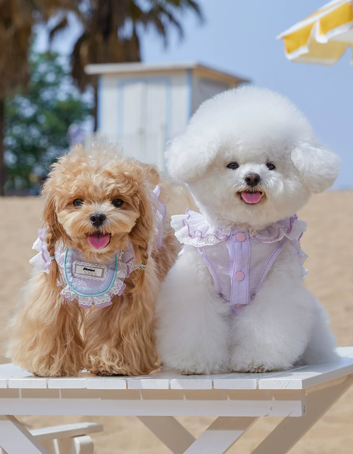 Lace Doll Style Summer Pet Blouse