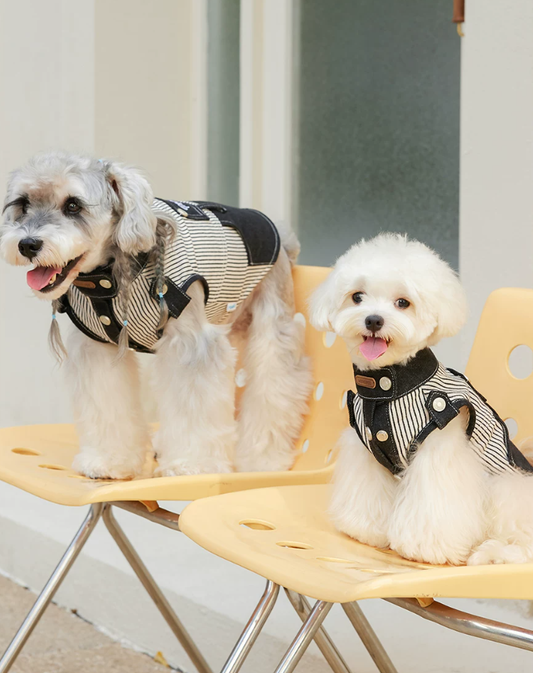 Cool Summer Denim Vest for Small Dogs