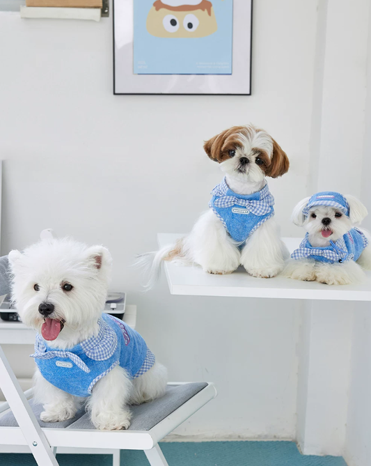 Spring Summer Casual Pet Vest for Bichon Yorkie Dogs