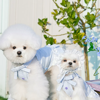 Summer Skirt Pet Dress for Yorkie Bichon Maltese Dogs
