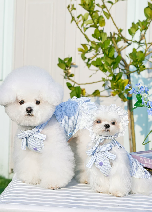 Summer Skirt Pet Dress for Yorkie Bichon Maltese Dogs