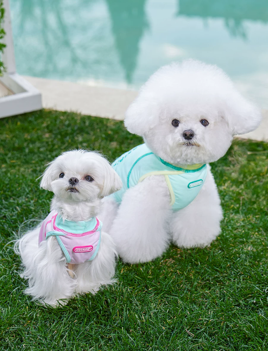 Soft Cooling Vest for Bichon Frise Dogs