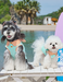 Cooling Sun Protection Thin Summer Pet Vest