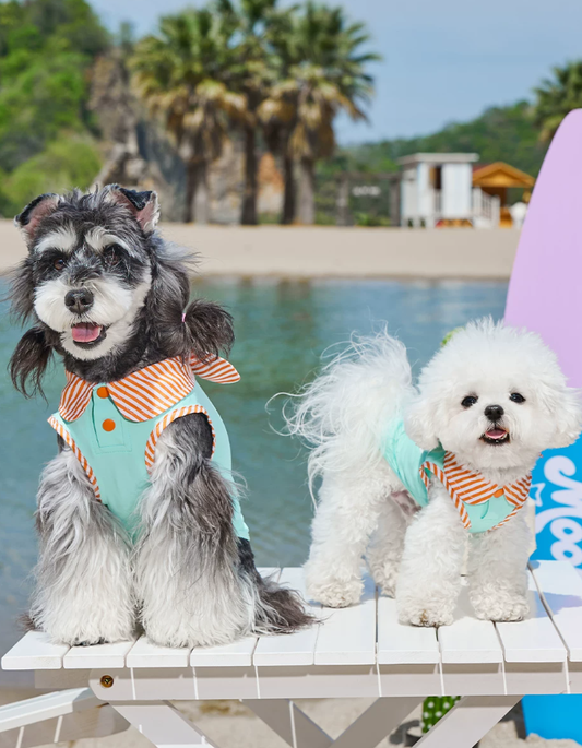 Cooling Sun Protection Thin Summer Pet Vest