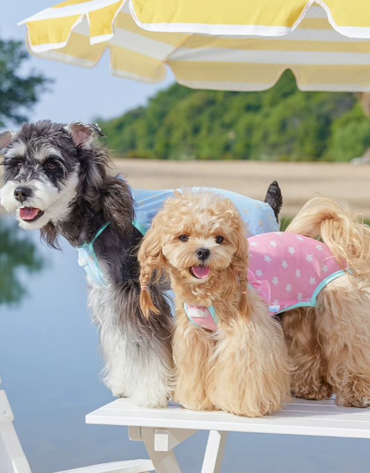 Breathable Strap Top for Small Dogs Summer Wear