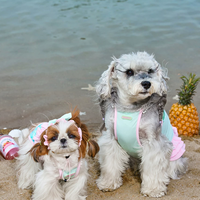 Aqua Chill Pool Swim Vest for Dogs