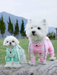 Four-Leg Outdoor Sun Protection Pet Suit