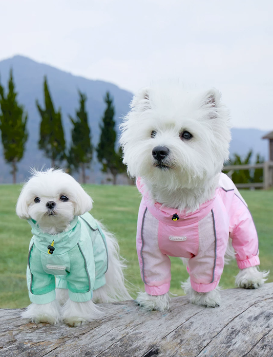 Four-Leg Outdoor Sun Protection Pet Suit