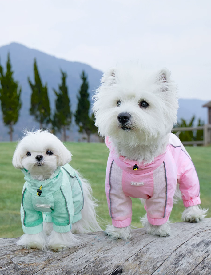 Four-Leg Outdoor Sun Protection Pet Suit