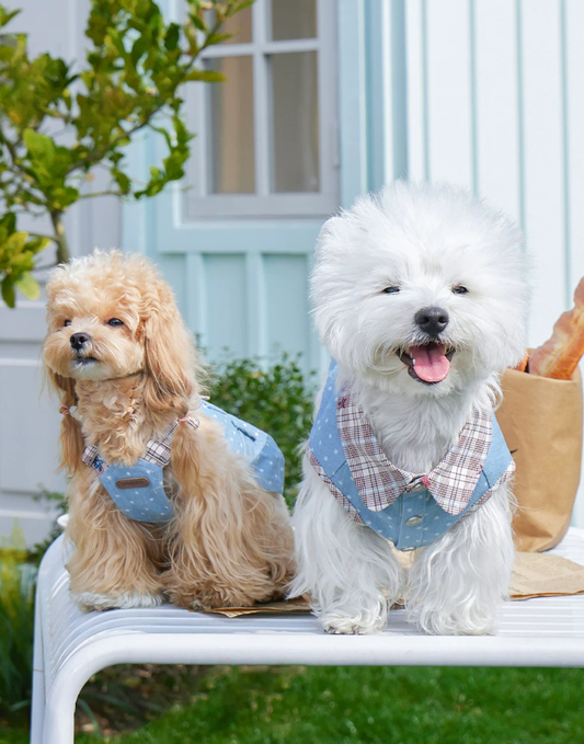 Denim Style Leash Vest for Small Dogs