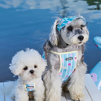 Cool Touch Summer Strap Pet Apparel