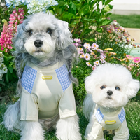 Spring Summer Lightweight Cooling Pet T-Shirt
