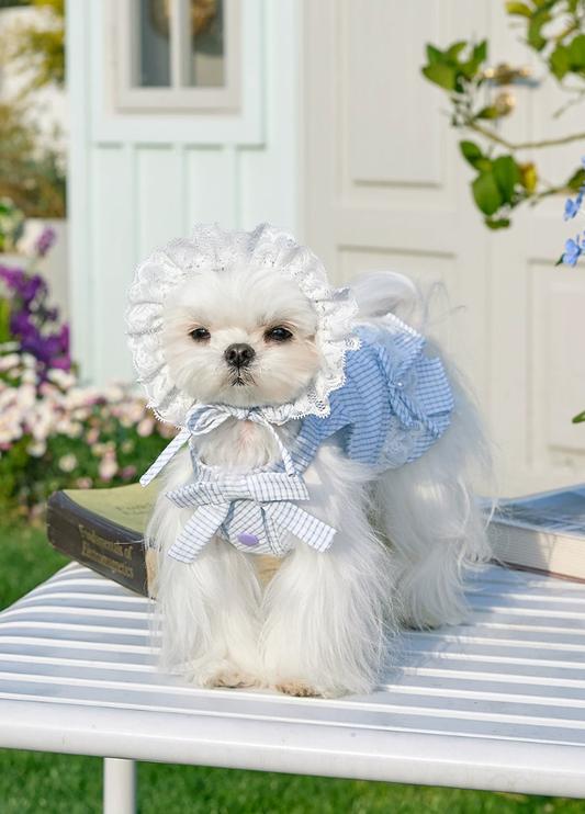 Summer Skirt Pet Dress for Yorkie Bichon Maltese Dogs