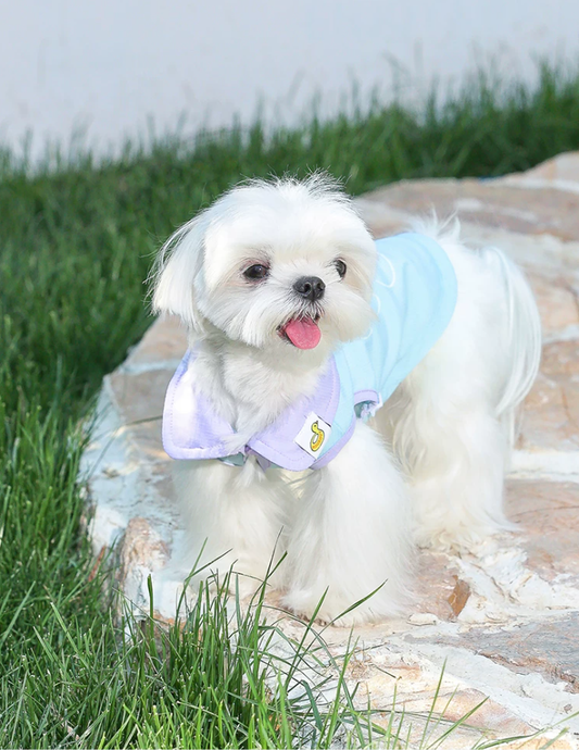 Cooling Light Vest for Cats & Dogs Outdoor Wear