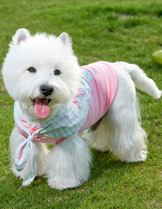2026 Cape Style Summer Pet Vest for Small Dogs