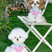 UV Protection Leash-Ready Pet Vest