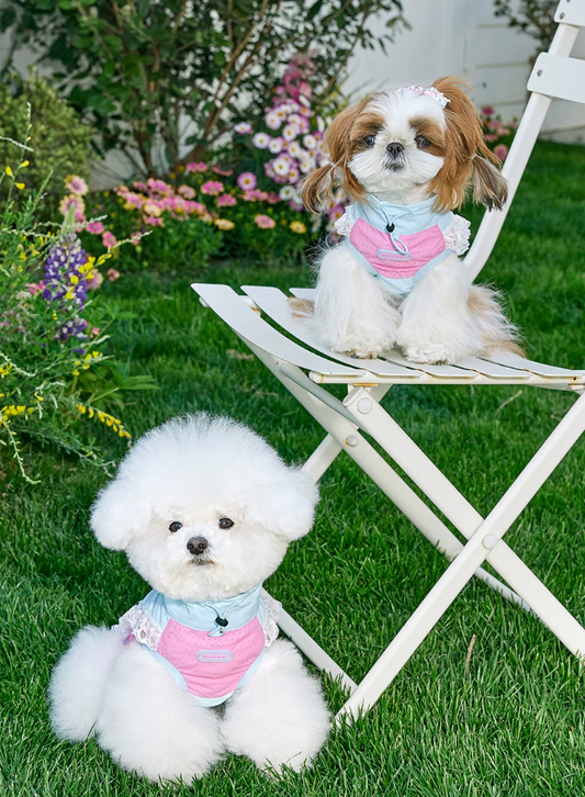 UV Protection Leash-Ready Pet Vest